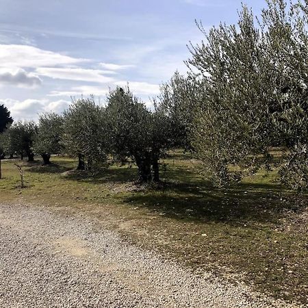 Appartement Au Milieu Des Oliviers Rasteau Exteriör bild