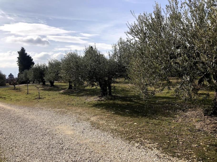 Appartement Au Milieu Des Oliviers Rasteau Exteriör bild